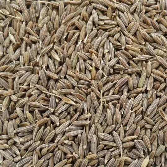 Cumin Seeds